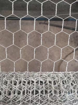 1.5mm Ζυγισμένο σιδηρούνιου σύρματος Chickenwire Mesh φράχτης για την κατασκευή κλουβί