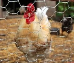Ζυγισμένα έξιγωνικά δίκτυα από σύρμα πουλερικών για κοτέτσι