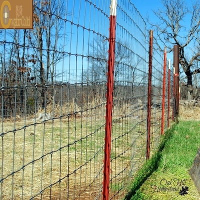 Ζυγισμένο έξιγωνο ατσάλινο σύρμα για κλουβί πουλερικών